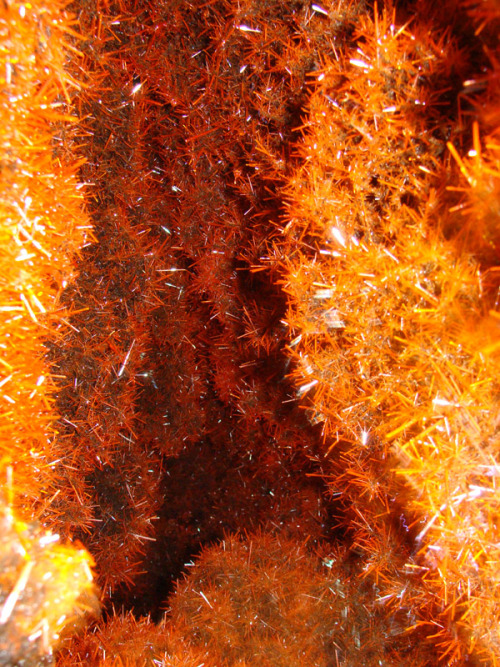 A cave pocket full of Crocoite crystals ready to be mined at the Adelaide Mine in Dundas, Australia