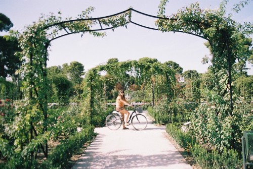 laiapallares:Parque del Retiro, Madrid, Spain. September 2016.Camera: Pentax P30nFilm: Kodak Color P