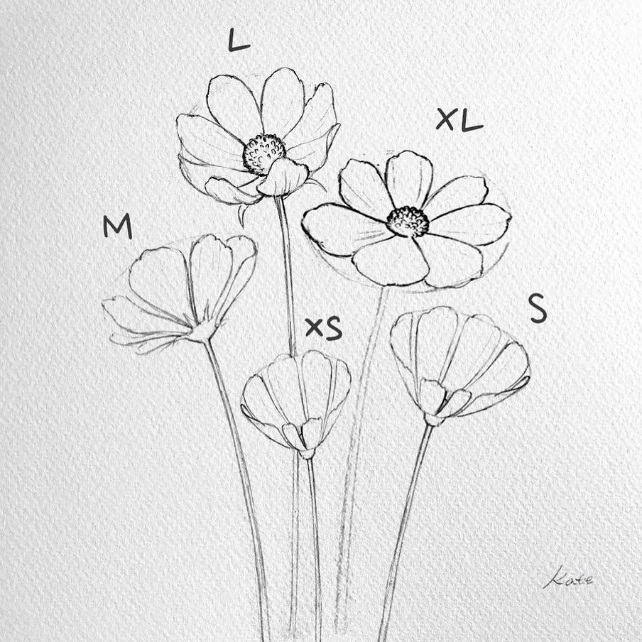 How to draw cosmos flowers by urbankate_in_ca - How to Art