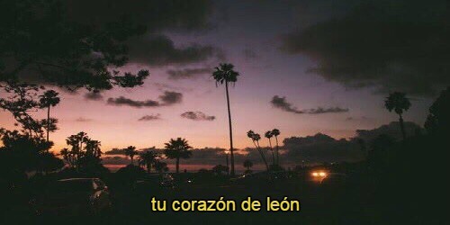 somospandaspordentroyporfuera:  -Una chica invisible. 