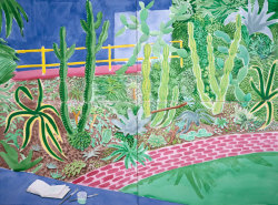 annalanana:  Cactus Garden III, David Hockney,