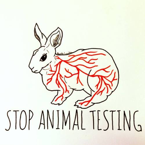 &ldquo;Stop Animal Testing&rdquo;  |  Alberto Lancha