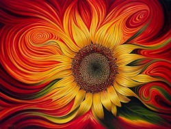 eternalliquidstone:  Sunflower. 