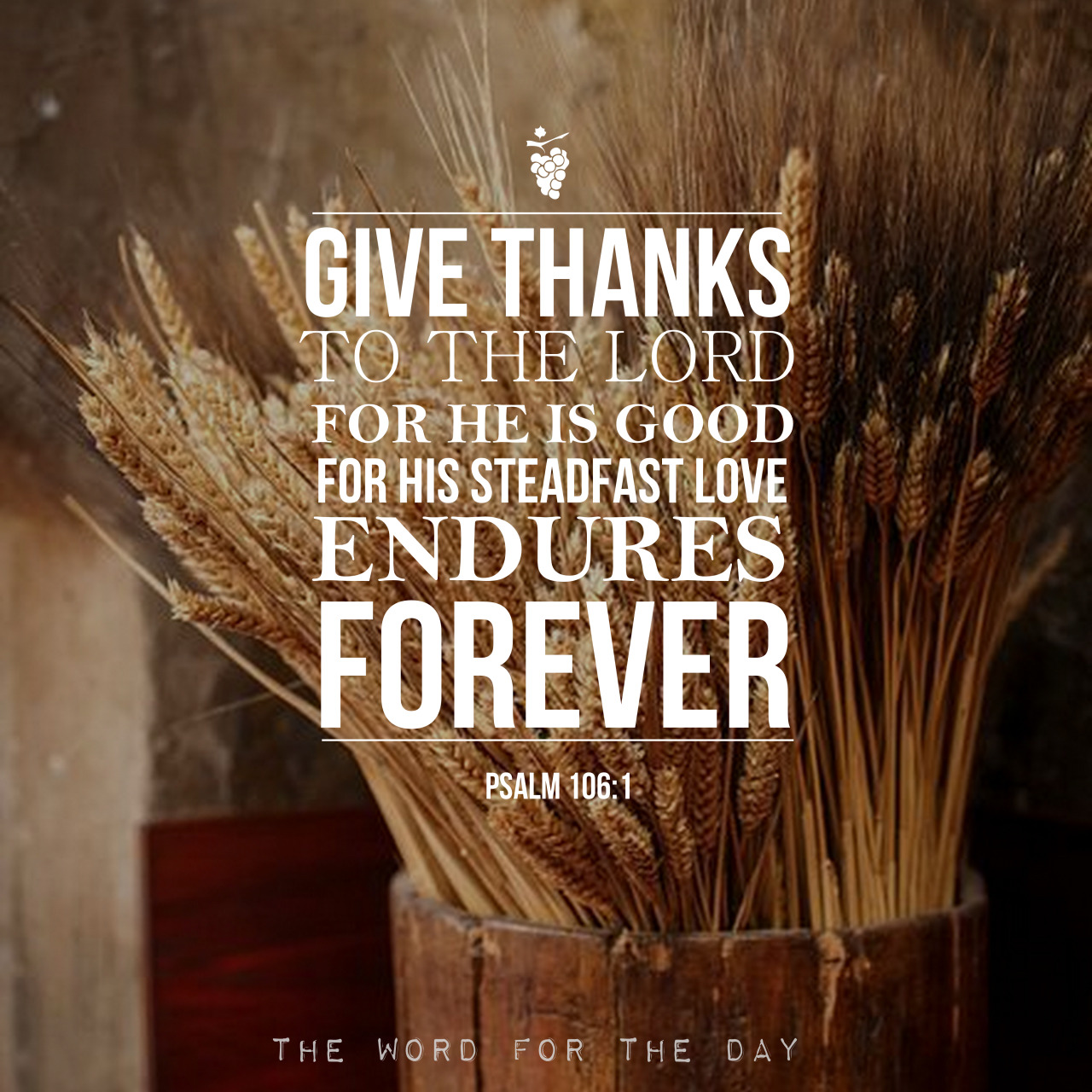 Thanksgiving quotes workplace