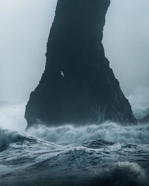 renamonkalou: Iceland atmosphere | Luke Stackpoole