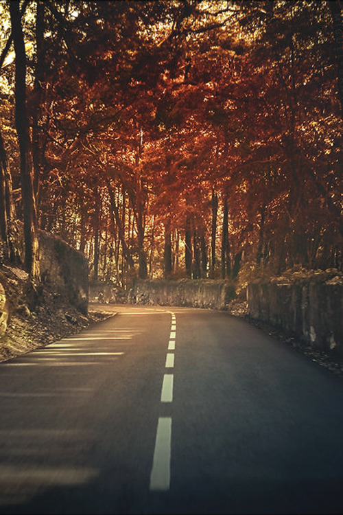 plasmatics-life:  On the turning ~ By Miguel-Santos 