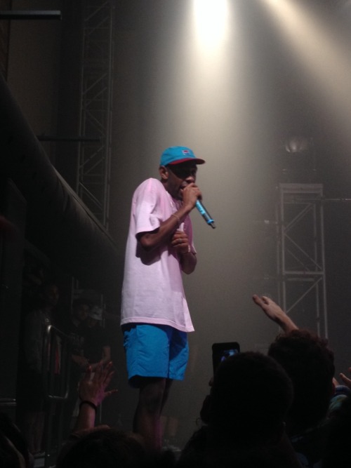 CAMP FLOG GNAW