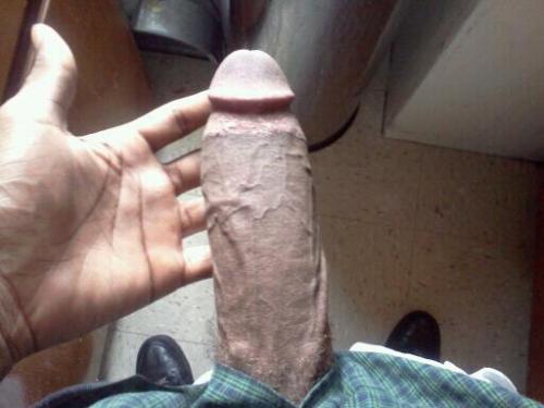 mcaval12:  Follow my Blog:  http://mcaval12.tumblr.com/  Over 10,000 pics and vids of Beautiful Black Dick submit your pic here   http://mcaval12.tumblr.com/submit Please Reblog