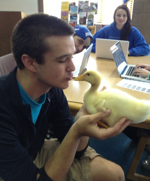 Duck Boy - The SagaIt started as a bio project&hellip; ended with an empty hole on everybod