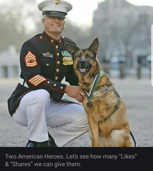 dominantsir73: electronrunner: Got my vote for both. Thank you for your service! Semper Fi Thanks to