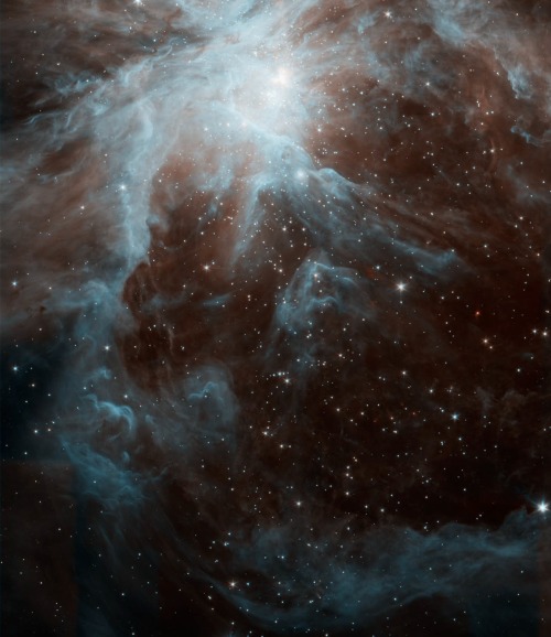 thedemon-hauntedworld:The Orion Nebula credit: NASA/JPL-Caltech/J. Stauffer (SSC/Caltech)