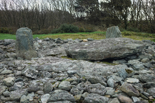 Trefignath Burial Chamber Second Tomb, Anglesey, North Wales, 25.11.17.Little remains of the second 