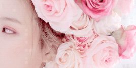 hangeuk:  ladies x pink 