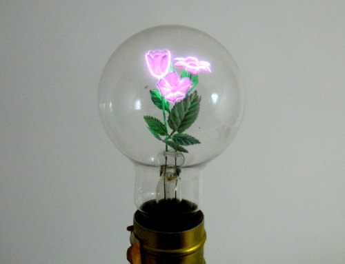 flutedsleeves:1940s aerolux neon flower lightbulb