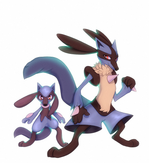 fluma:Riolu and Lucario