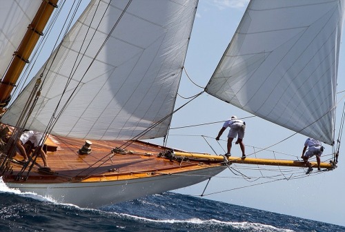 velasardegna:  sailing