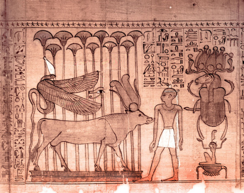 Book of the Dead of TanaferHathor in the form of a sacred cow licks the arm of the dead man to reass