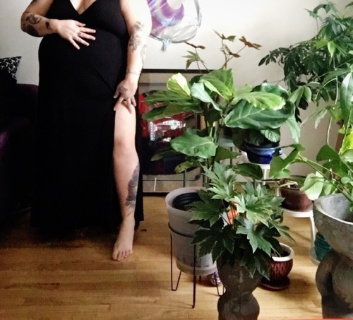 brooklynboobala:Fat and fancy with fancy plants.