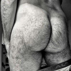 porterstout:Fuzzy butt I would dick hard