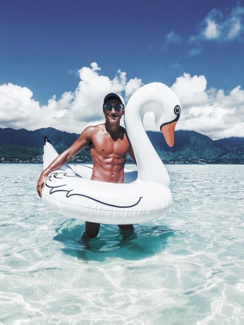 micah-dean:  Swans, I love swans. His name is Gilbert. IG:@micah_dean 