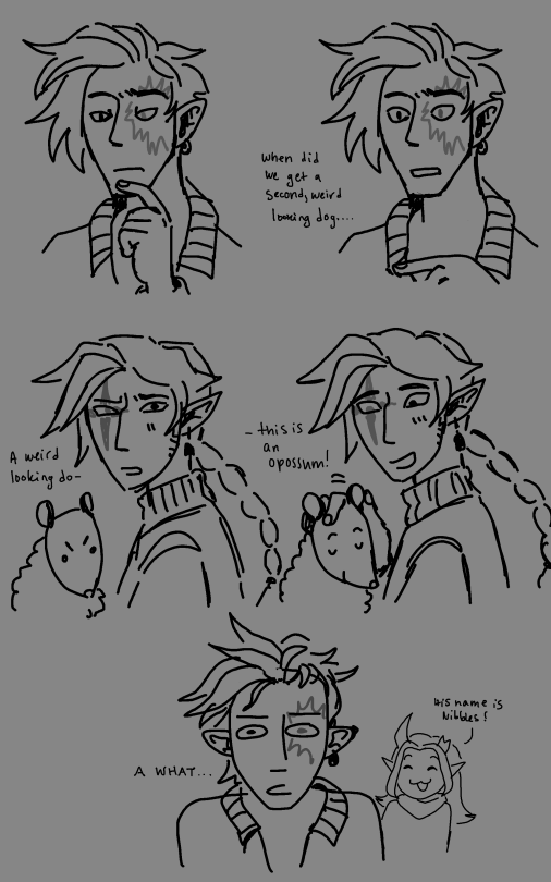 Comic Doodle Thing Featuring The Party Members: Loki, And Carrion (owner Of The Opossum).