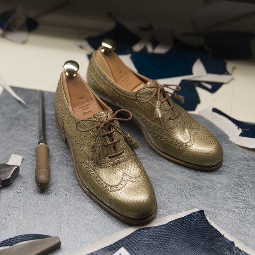 Gold Python wingtip oxfords for Women. Discover our exotic skin collection at Carmina shoemaker webs