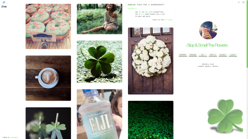zapsziall:  http://springs-flower.tumblr.com/ http://springs-flower.tumblr.com/ http://springs-flower.tumblr.com/ 