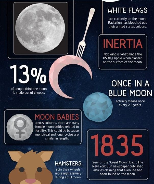 sixpenceee:  50 Amazing Fact About the Moon (Source) 