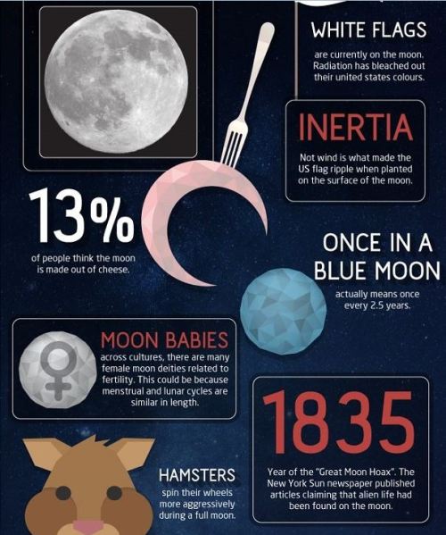 sixpenceee:50 Amazing Fact About the Moon (Source) 