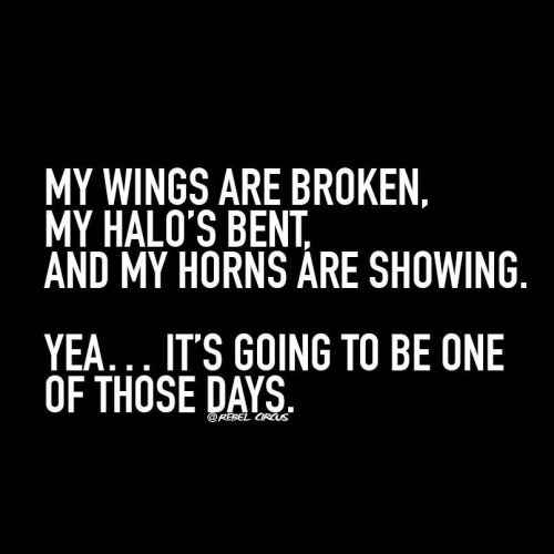 halosandsunshine:  *giggles