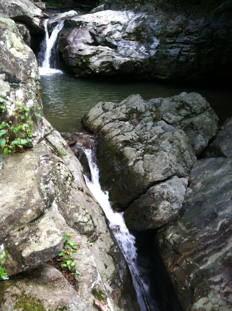 Laurel Creek Falls! For those of you who were wondering&hellip; &lt;3
