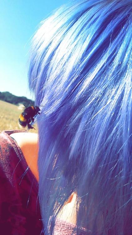 #hair #purple #brightHair #colour #bee #sun #nature #summer #blue