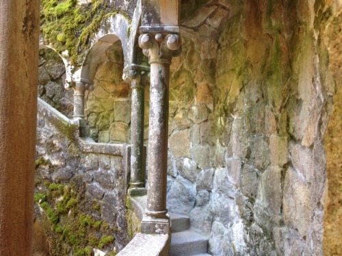 Quinta da Regaleira, Sintra, Portugal (15/06/2015)