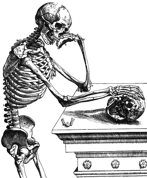 deathandmysticism:  Andreas Vesalius, De humani corporis fabrica libri septem, 1543