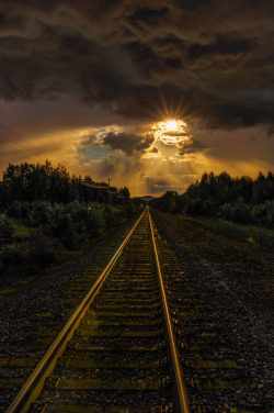 ponderation:  Golden Tracks by bodson15 