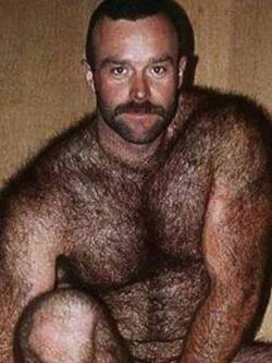 Bear Hairy Daddy