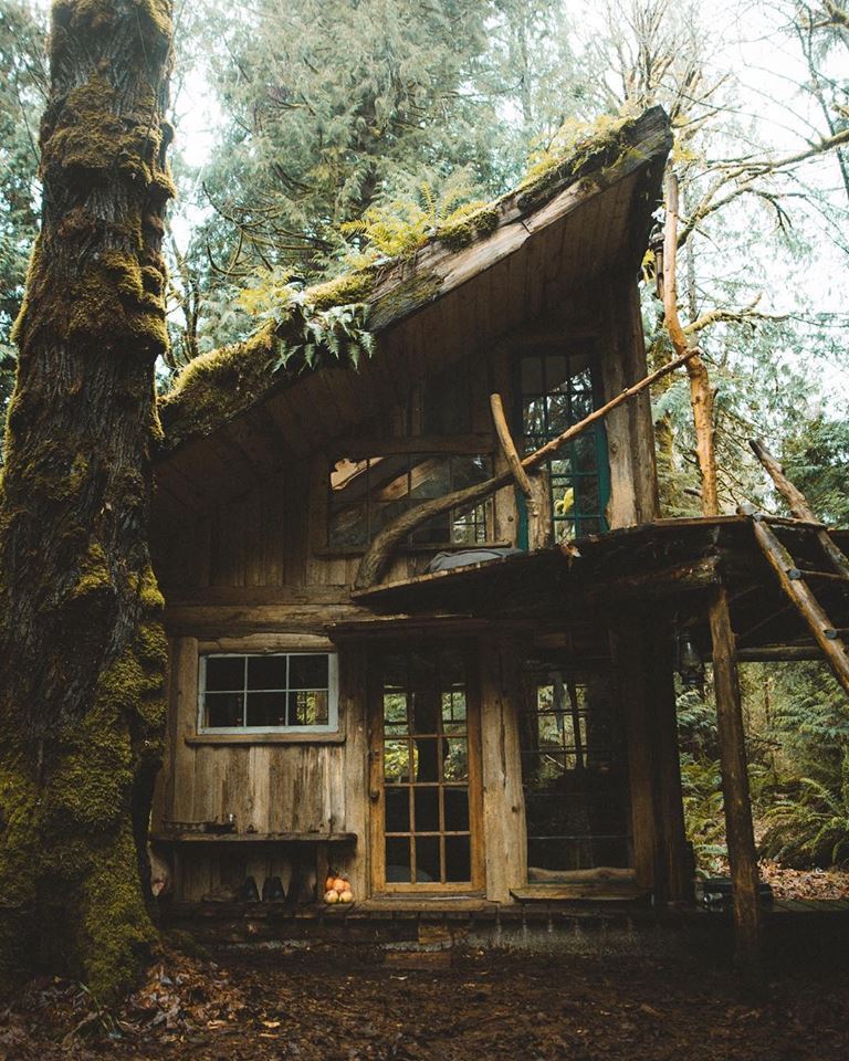 #adventure,
[[MORE]] 🌎 Olympic National Park | 📸 Dylan Kato