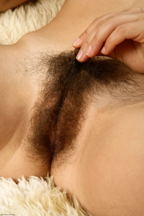 thehairypussypics.com post 43456937244 adult photos