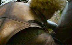 puyols:Favourite female characters: Brienne of Tarth / Game of Thrones.