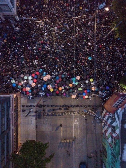 boykeats:lesbianwrongs:Image taken in seattle [ID: an aerial shot of the seattle protests. in the up