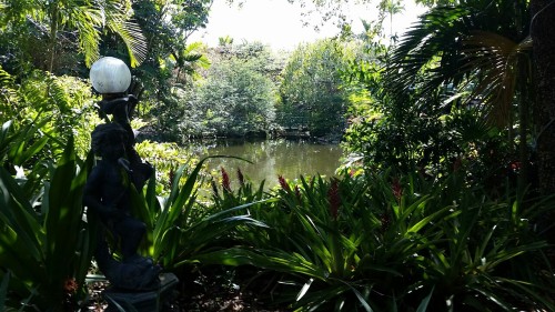 clarify-your-world:Garden of the groves in Freeport bahamas.