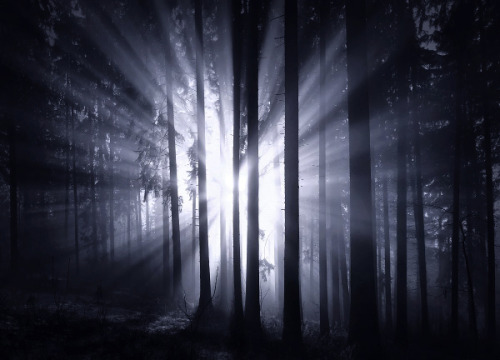 The Dark Forest I © Kilian Schönberger Facebook Kilian Schoenberger Photography Website Kilian 