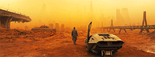 ryangoslingsource:Blade Runner 2049 dir. Denis Villeneuve / dp. Roger Deakins