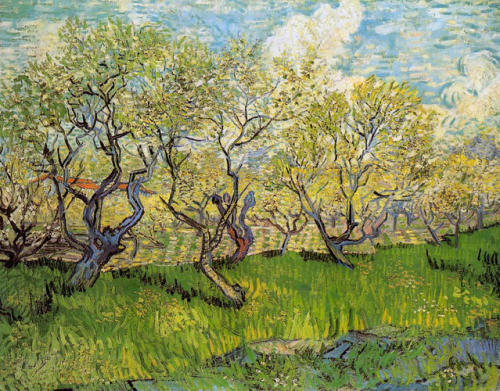 artist-vangogh: Orchard in Blossom, 1888, Vincent van GoghMedium: oil,canvas
