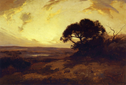 Golden Evening, Southwest Texas, 1911, Robert Julian Onderdonk