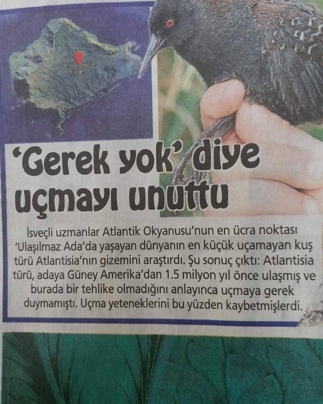 Gerek yok dive
uçmayi...