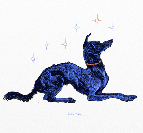 mischievousdog:  Little blue hound I drew over coffee this morning.