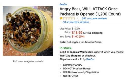 dear-kristine-15: blameaspartame: bees @3jarsofbees You can just order them on Amazon???I guess I co