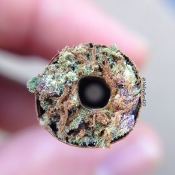 weedporndaily:  🌀Vortex Hollow blunt by valleyrec420 http://ift.tt/1vPOTLB