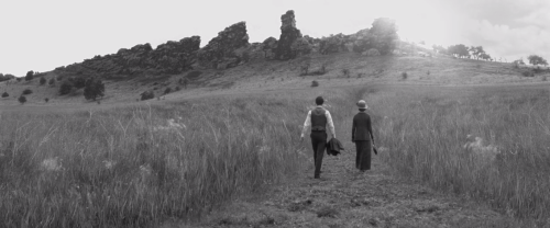 moviesframes:Frantz (2016)Directed by François OzonCinematography by Pascal Marti